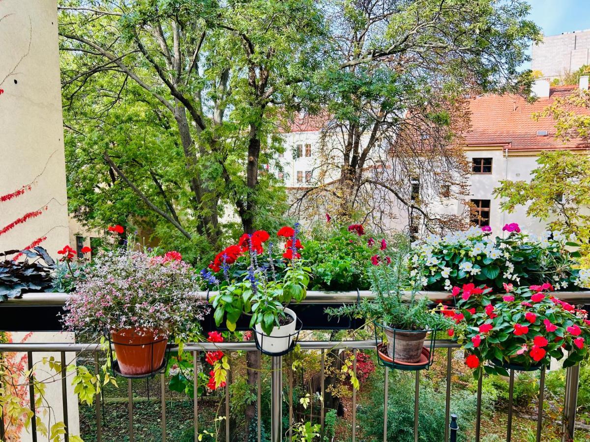 Green Balcony & King Size Bed Praha Eksteriør bilde